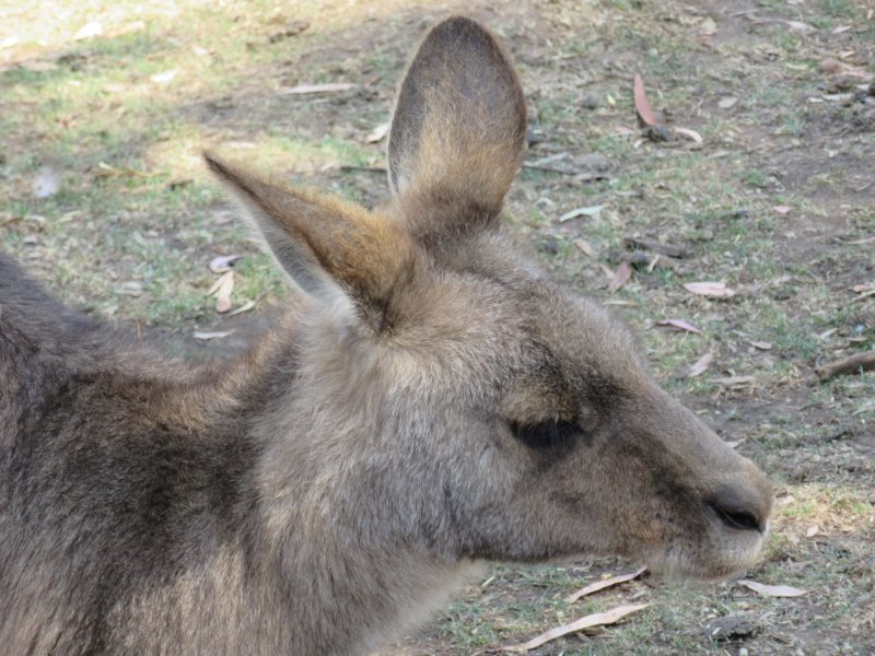 Is this my best side?