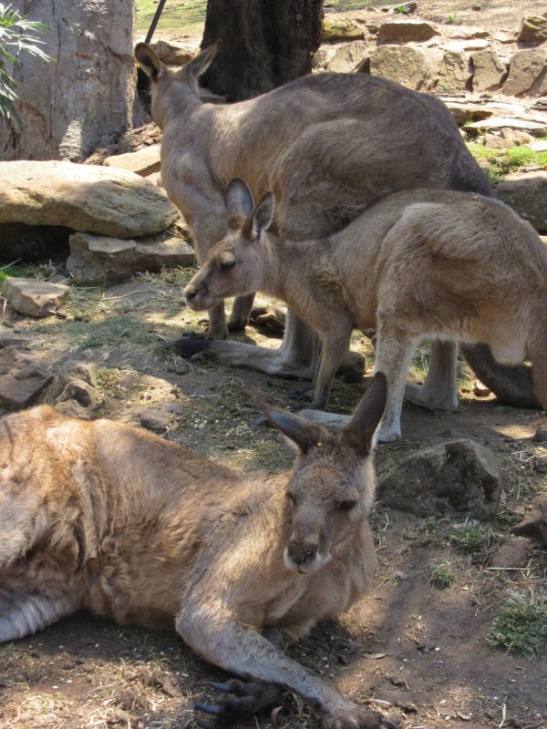 Yep, it' a hot day, we're all hugging the shade