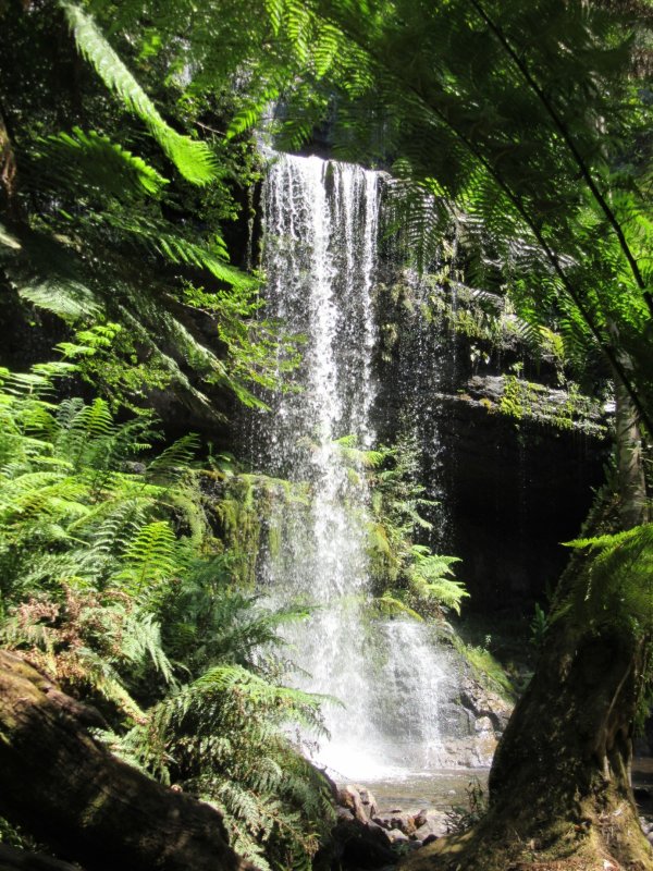 Russell Falls