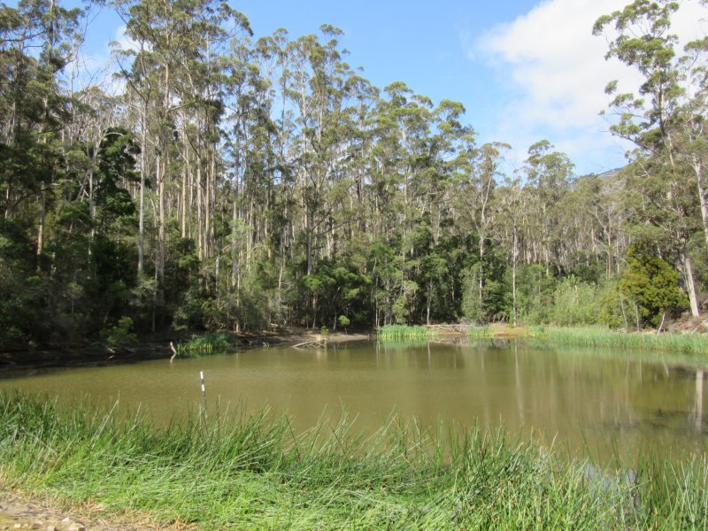 Convict Reservoir