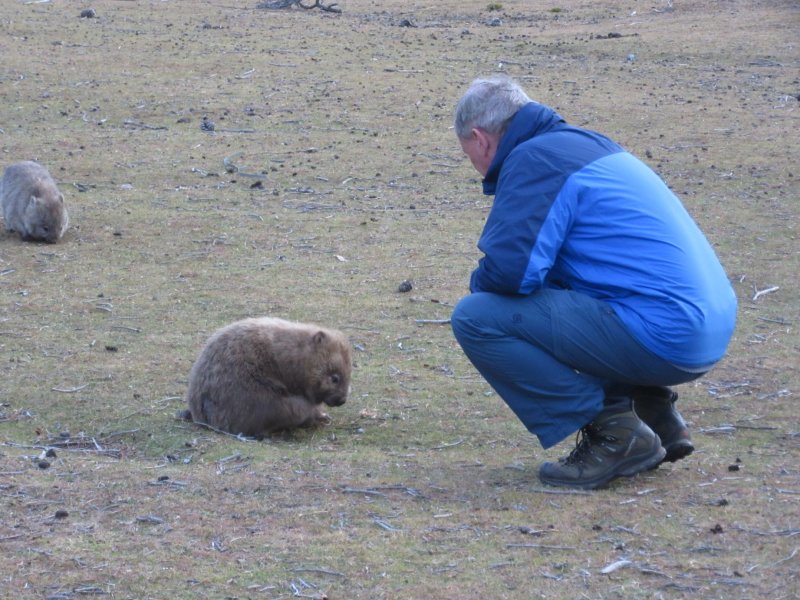 Pete says hello to a wee wombat