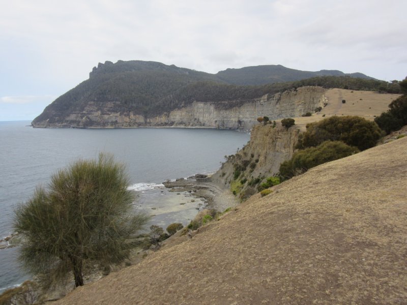 View towards Bishop & Clerk (620m)
