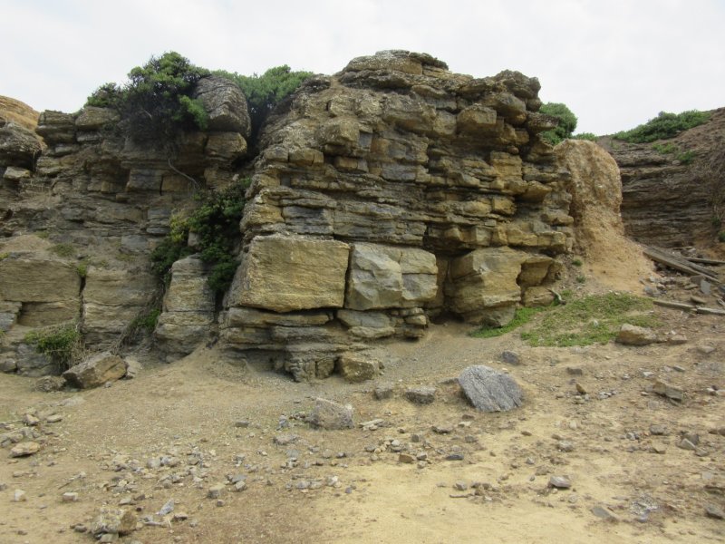The Fossil Cliffs