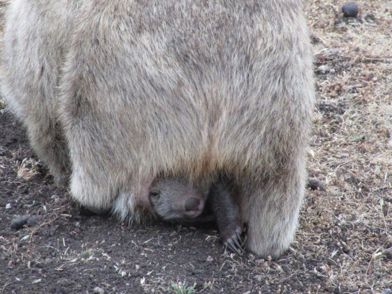 There it is.....awwwww