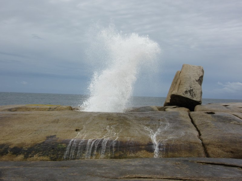 Thar she blows