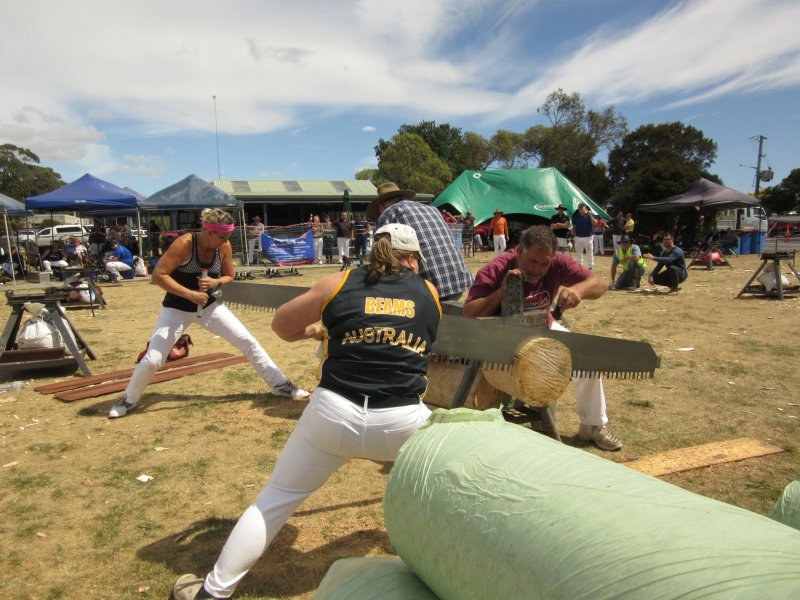 St Helens - a wood chopping competition - women sawing