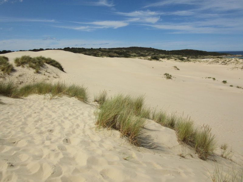 The sand is superfine