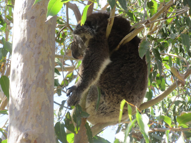 ...just hanging around