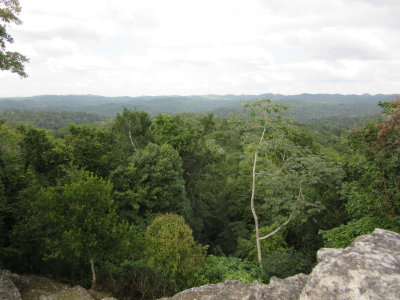 At the top we can see over the jungle treetops