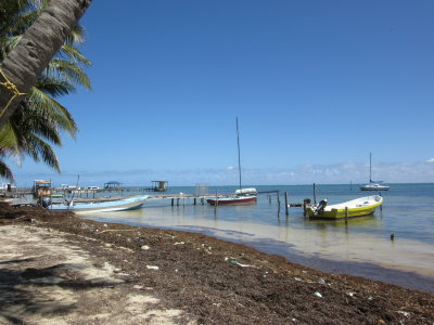 East Side of the caye