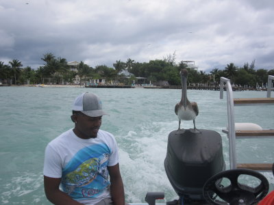 We had a hitchhiker on the boat