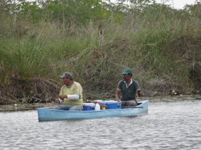 Local fishermen