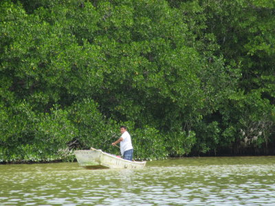 Fishing near the mangroves