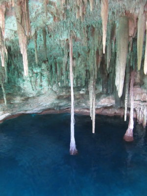 Stalactites and tree roots coming down