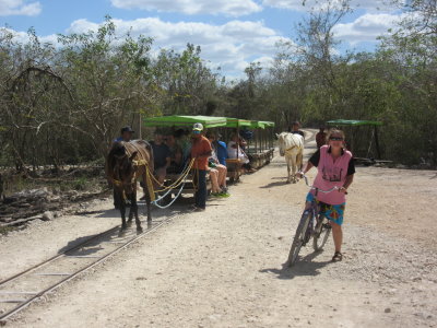Sit on a horse-drawn 'truck' or cycle to the cenotes - we cycle