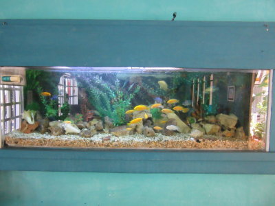 El Acuario - the aquarium - the name of the hotel