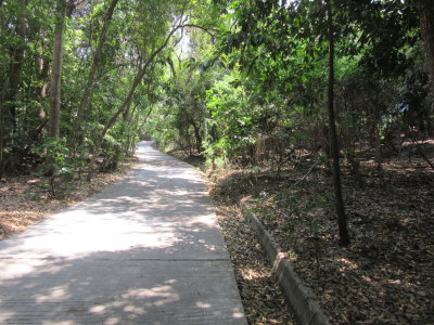 Paths through the forest to see the animals
