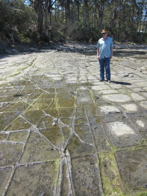 Pete on the Tessellated Pavement