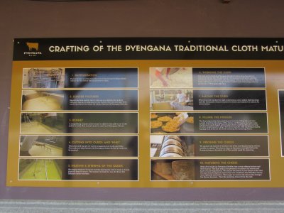 Cheese making process at Pyengana