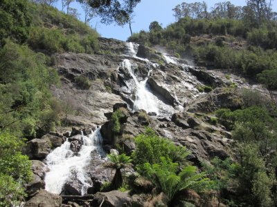 St Columba Falls - Tasmania's highest falls at 90m