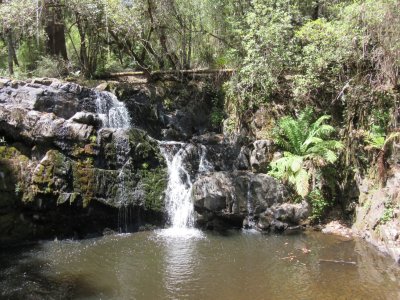 Lilydale Falls