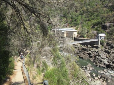 Jackie hiking down to the suspension bridge