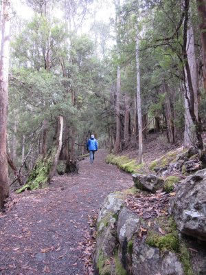 On trail to the Leven Canyon