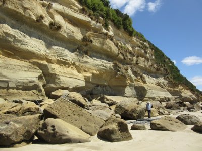 A 275 million year old cliff