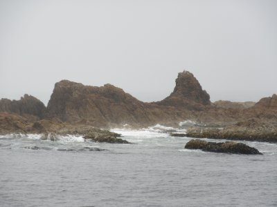 Whale Rock - can you see it?