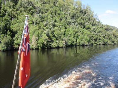 We then sail up the Gordon River