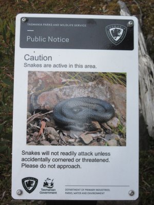 Warnings re snakes on trail...they like to warm up in the sun