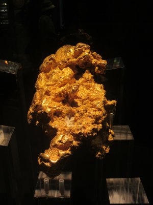 The Golden Stonefish nugget - 7.2kg