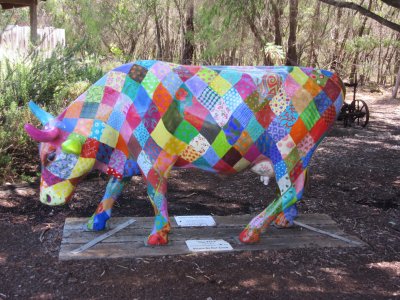 Colourful cow at the olive farm