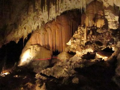 Organ Pipes - red laser line is where the water level was when the cave was discovered
