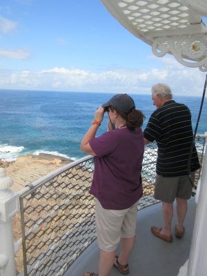 What has Jackie spotted - alas its not the right time of year to see whales