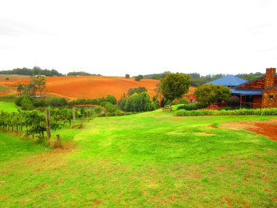 Lovely rolling hills and red earth