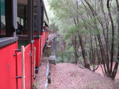 The route travelled through karri, jarrah and marri forests