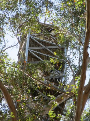 ...and a cabin built on top...built 1937-52