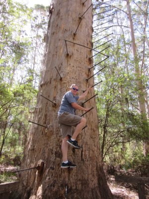 Pete climbing up