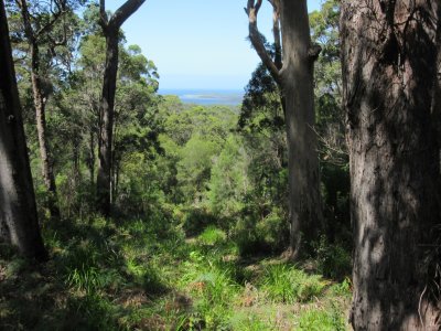 Lookout near Walpole