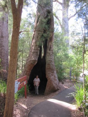 Walpole-Nornalup NP