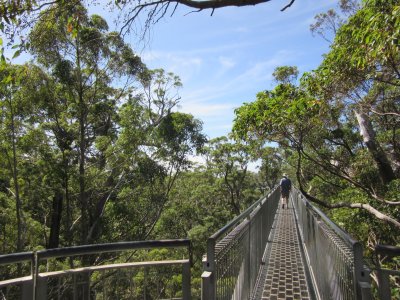 The walkway rises further...