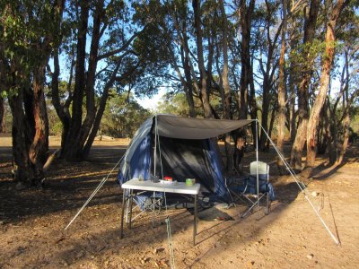 Our camp near Mt.Trio - on a cattle farm