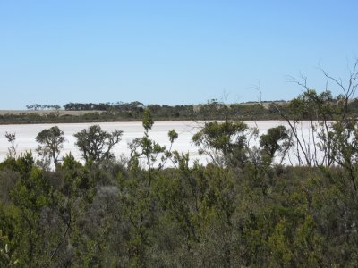 Camel Lake