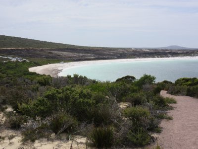 Lucky Bay - can you see where the bushfire reached a week or so ago?