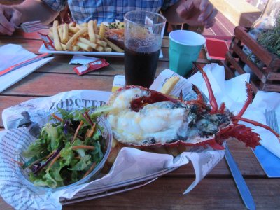 Lobster for lunch