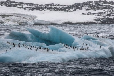 Antarctica Voyage 2020