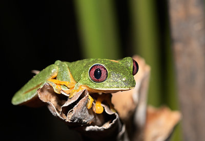 _DSC1276_00024.jpg