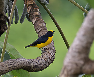 _DSC1421_00053.jpg