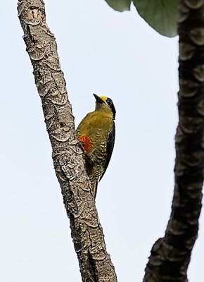 _DSC1651_00089.jpg